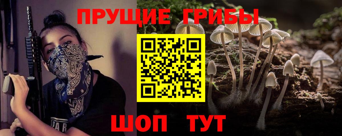 Псилоцибиновые грибы Psilocybine cubensis  Вход с VPN  Гусиноозёрск 